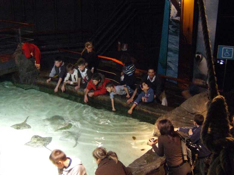 DSCF5577 copia.jpg